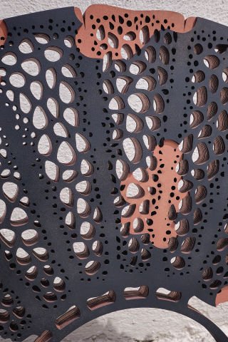 BRONZE CORAL