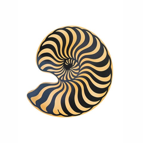 Nautilus