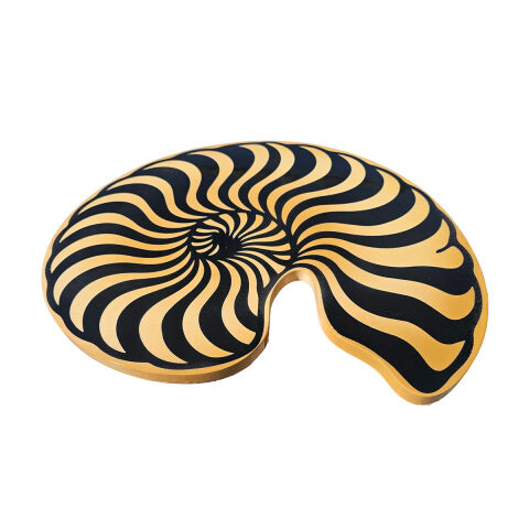 Nautilus